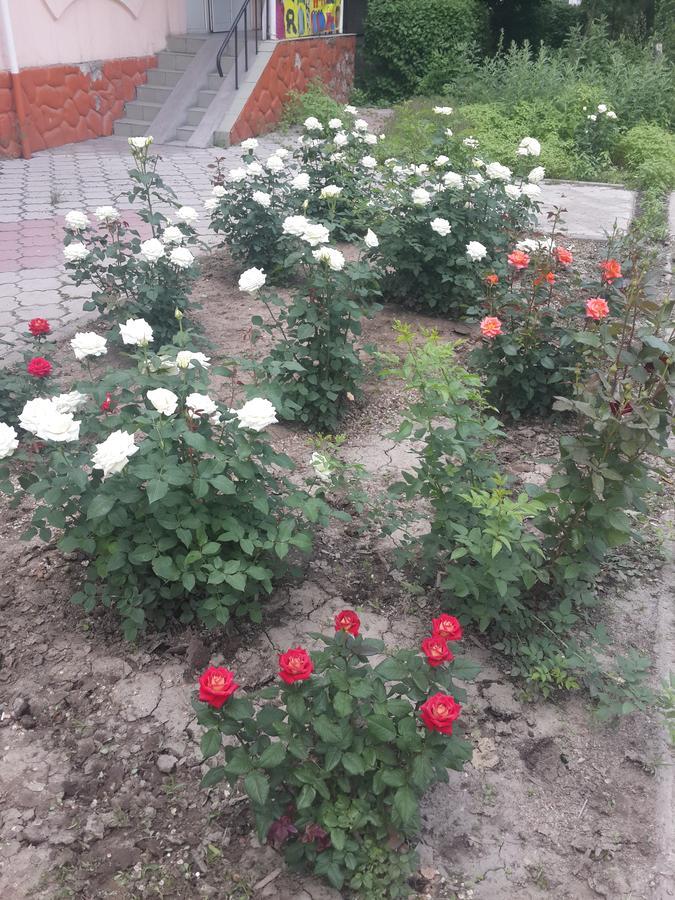 Fm Hostel Almaty Кок-Тюбе Экстерьер фото